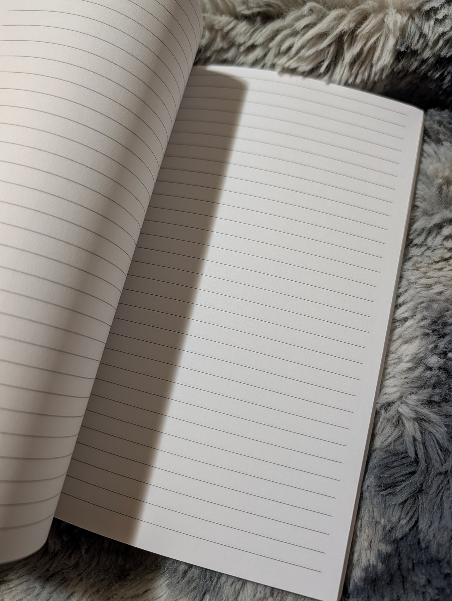 Pirate Journal